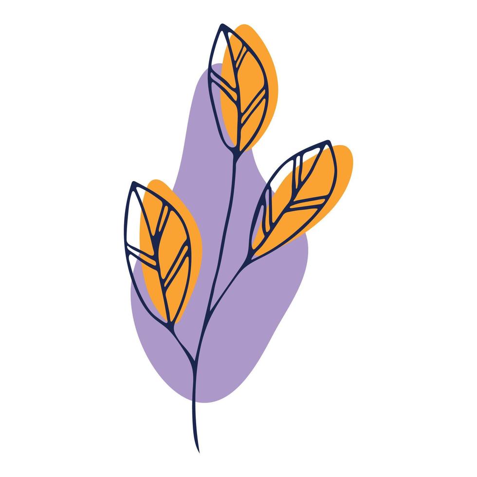 ramo di vettore disegnato a mano. doodle di erbe colorate isolato su sfondo bianco. illustrazione botanica per carta, stampa, web, design, arredamento, logo.