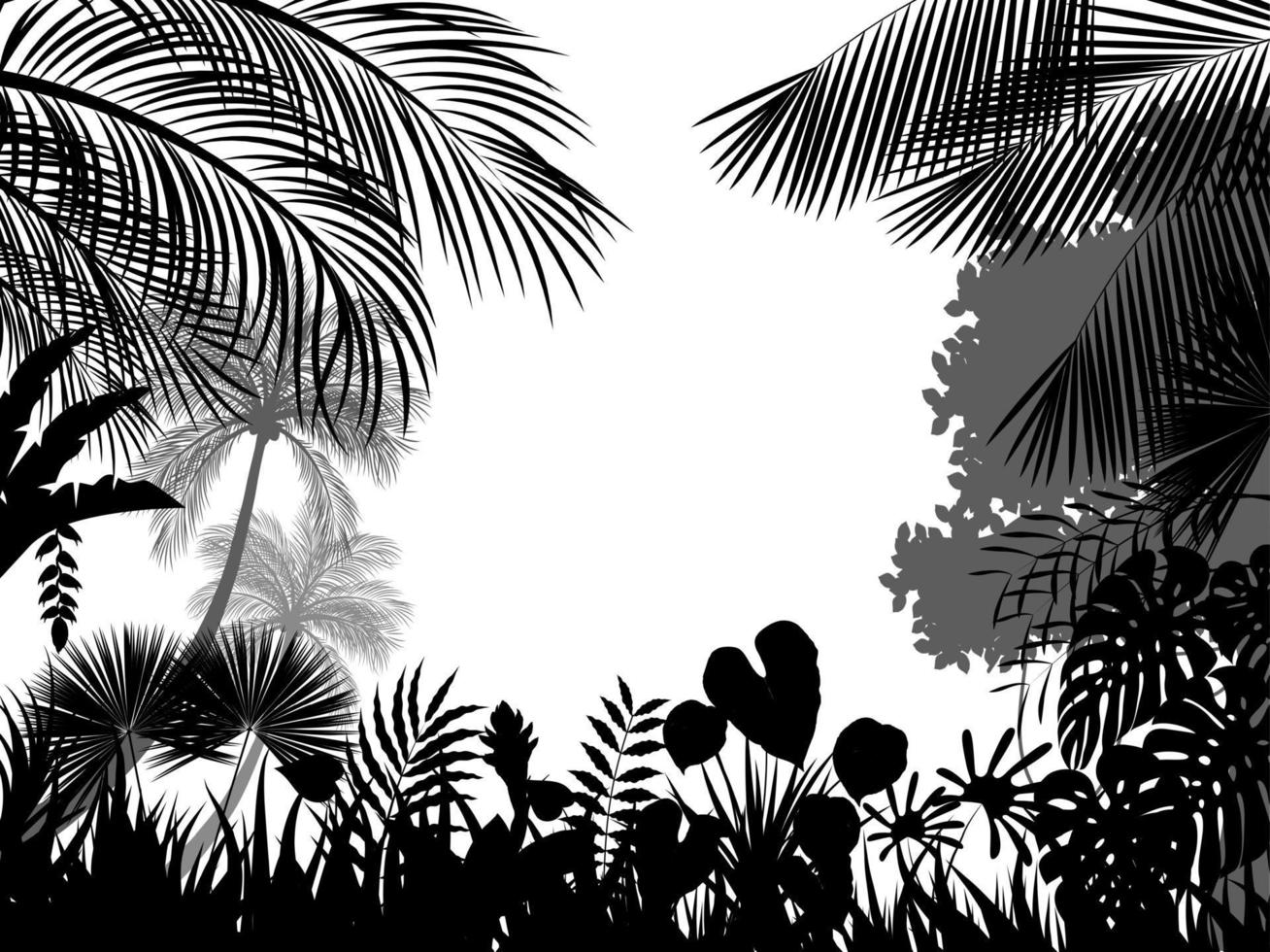 sfondo silhouette tropicale beautiful.vector vettore