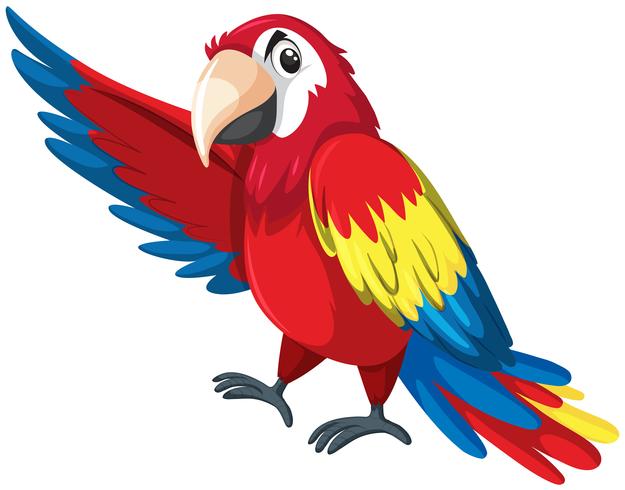 Un personaggio pappagallo colorato vettore