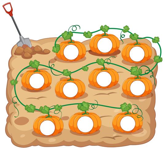 Stampa zucca vuota vettore