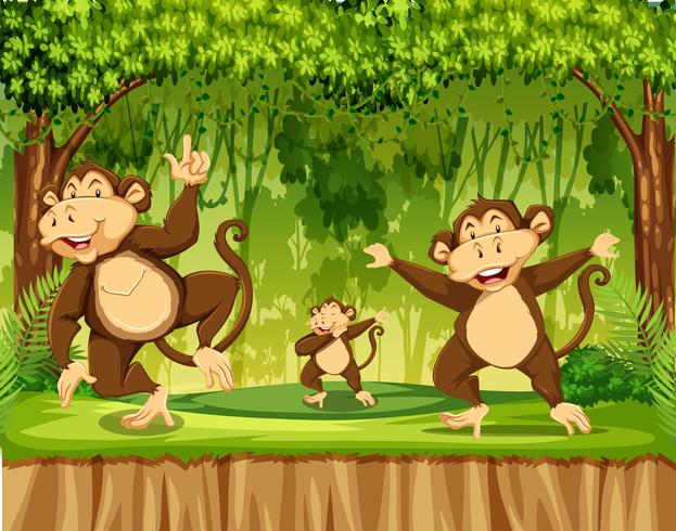 Gruppo di scimmia nella foresta pluviale vettore