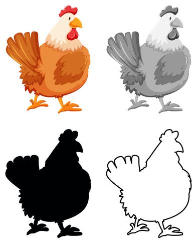 Set di caratteri di pollo vettore