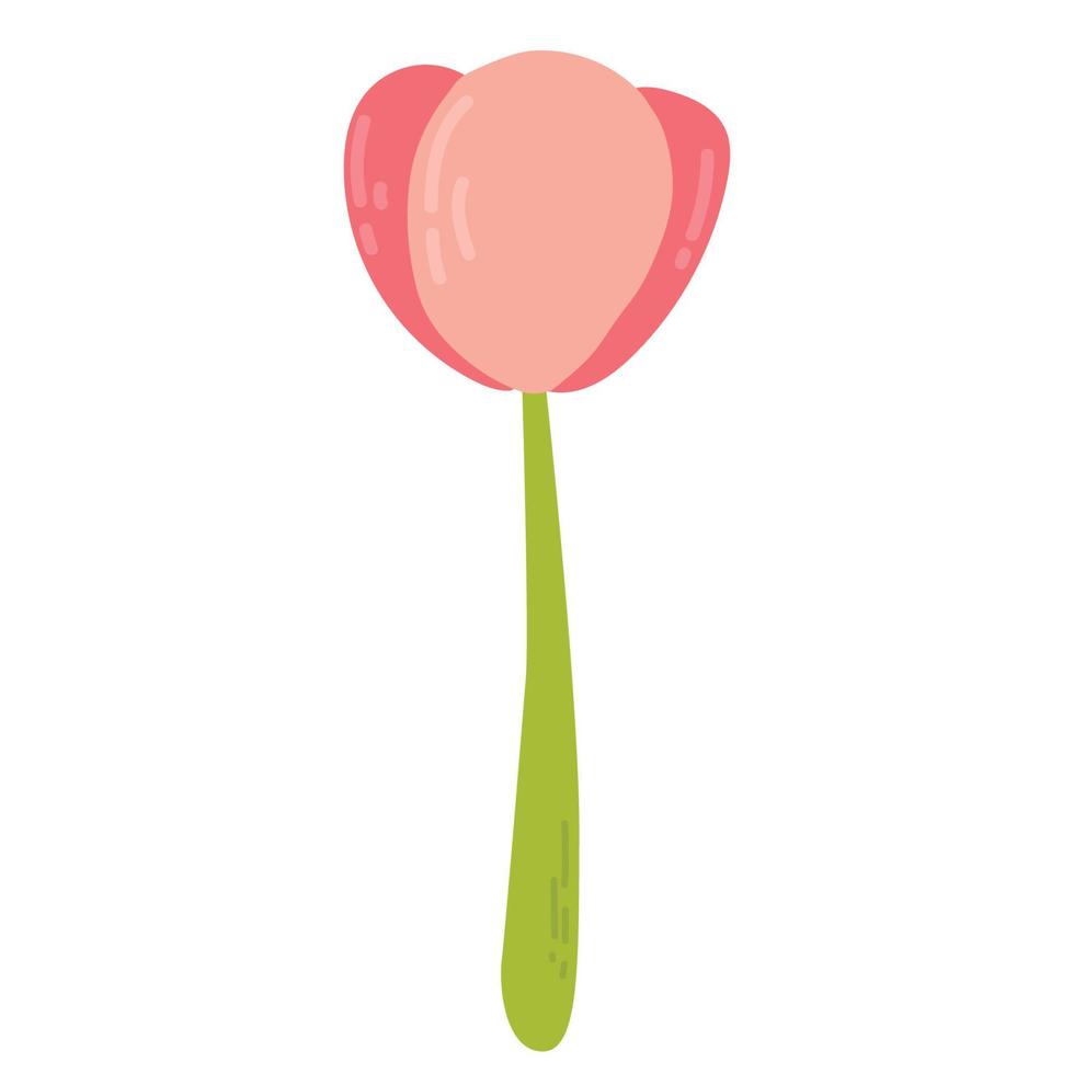 tulipano carino cartone animato con illustrazione vettoriale gambo verde. fiori di primavera