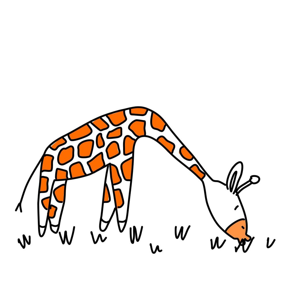 la giraffa mangia l'erba, isolata in stile doodle. vettore