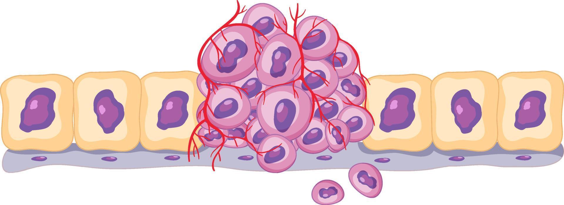 cellula cancerosa isolata su sfondo bianco vettore