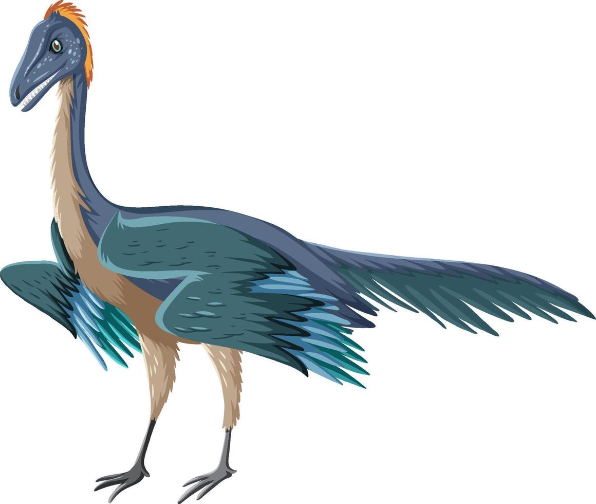 dinosauro archeopteryx su sfondo bianco vettore