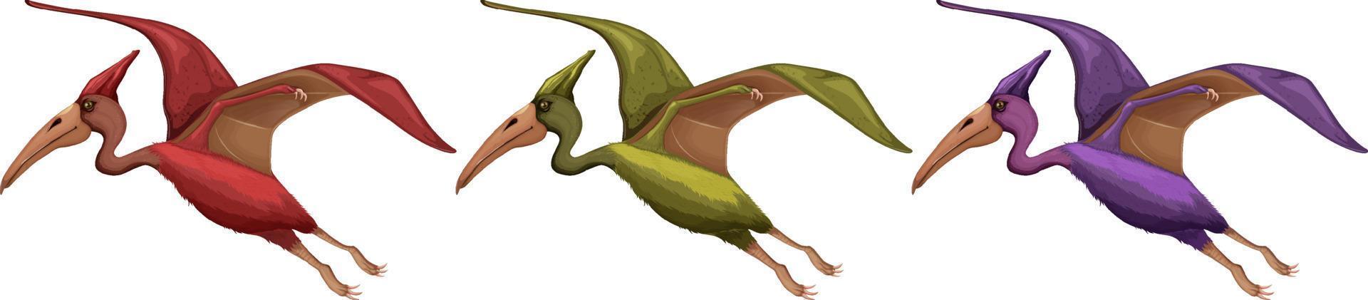 una serie di dinosauri pteranodonti su sfondo bianco vettore