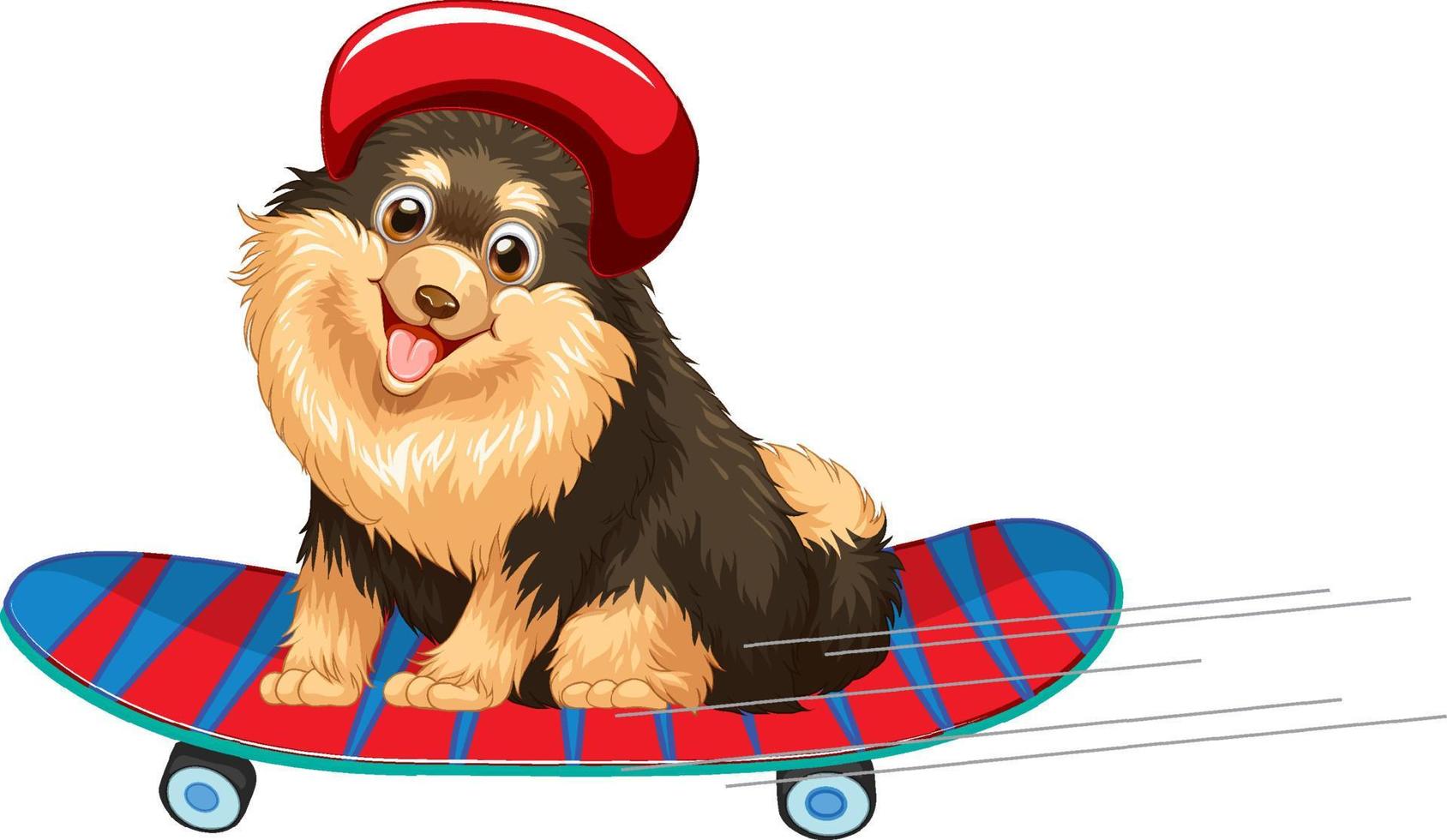 il cane Pomerania indossa il casco in piedi sullo skateboard vettore