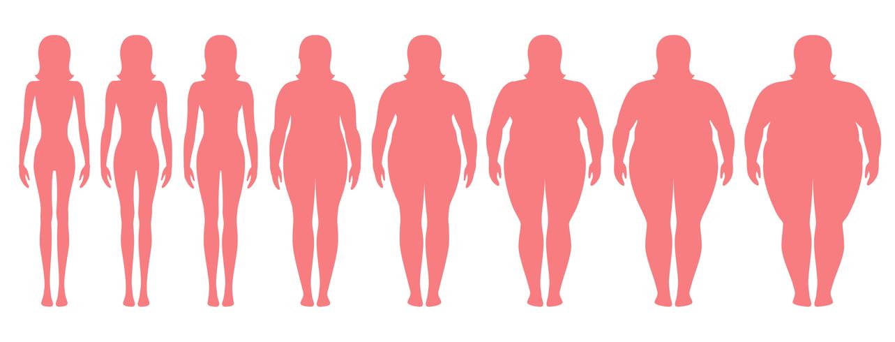 Illustrazione vettoriale di sagome di donna con peso diverso da anoressia ad estremamente obesi. Indice di massa corporea, concetto di perdita di peso.