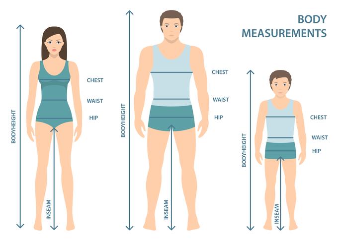 Vector l&#39;illustrazione dell&#39;uomo, delle donne e del ragazzo in integrale con le linee di misura dei parametri del corpo. Misure per uomo, donna e bambino. Misure e proporzioni del corpo umano. Design piatto.