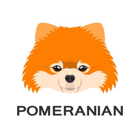 Illustrazione vettoriale di cane pomeranian in stile piano. Icona piatto Pomerania.