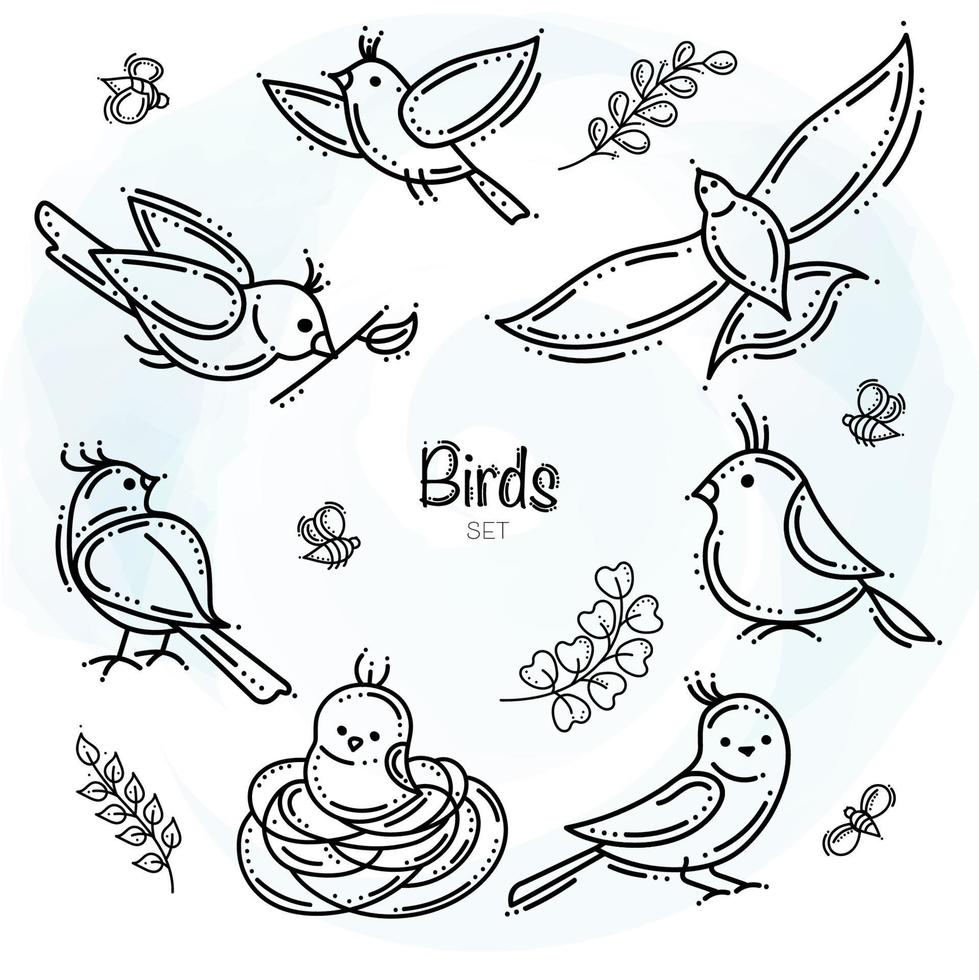 set di uccelli grafici con elementi a base di erbe e api vettore