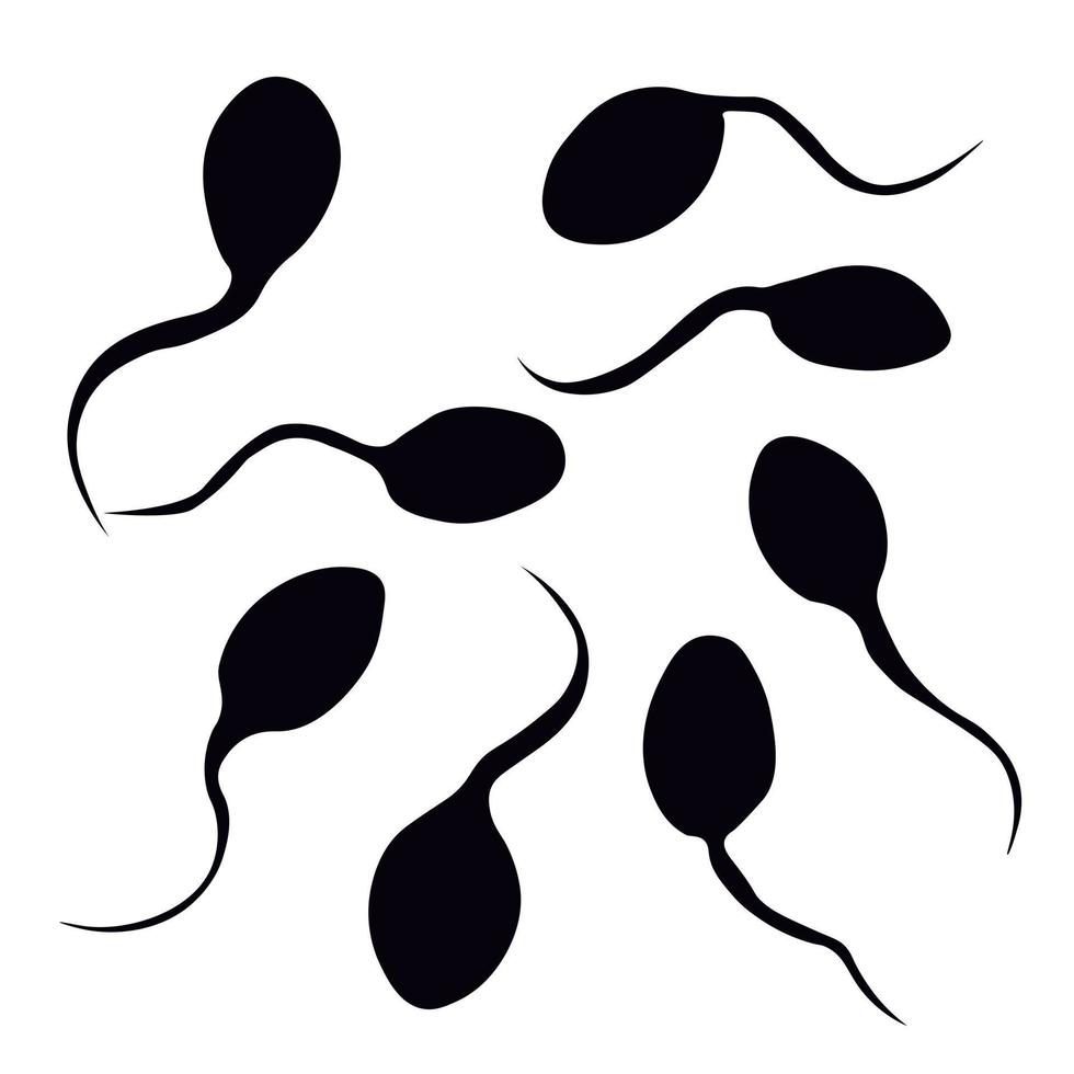 illustrazione di riserva di vettore dello sperma. girini neri. Isolato su uno sfondo bianco.