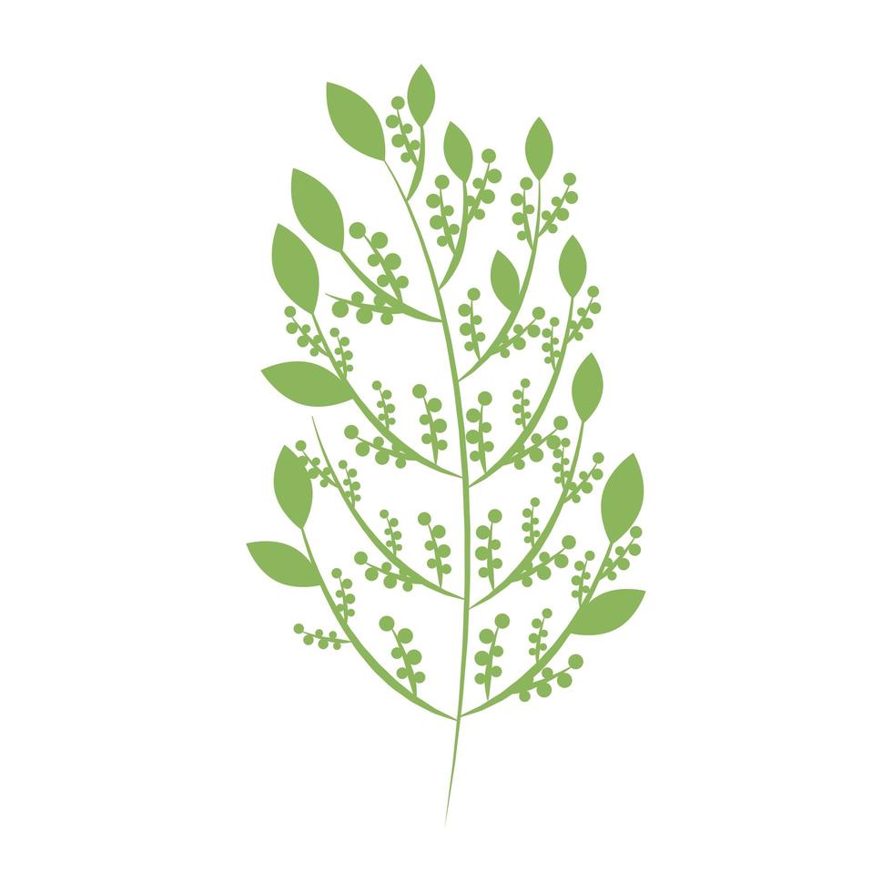 disegno vettoriale di foglie verdi isolato