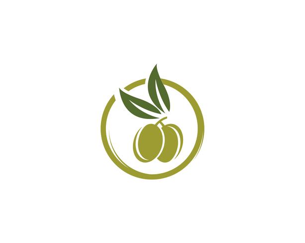 icona di vettore del modello logo oliva