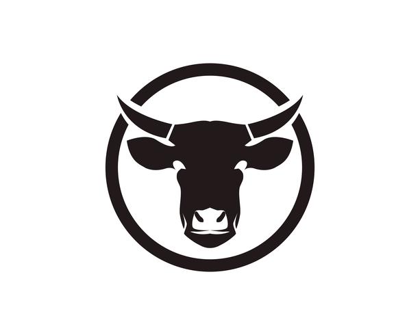 Simboli testa di mucca e modello di logo vettoriale