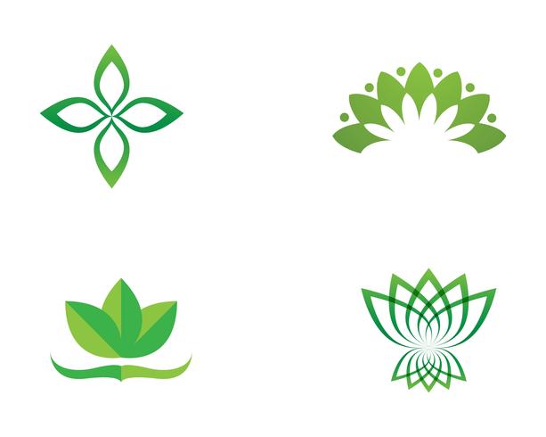 Icona del modello di vettore del fiore e di simboli del fiore di loto
