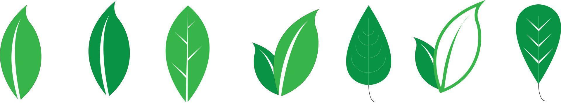 foglie verdi insieme. foglia verde ecologia natura elemento simbolo isolato su sfondo bianco vettore