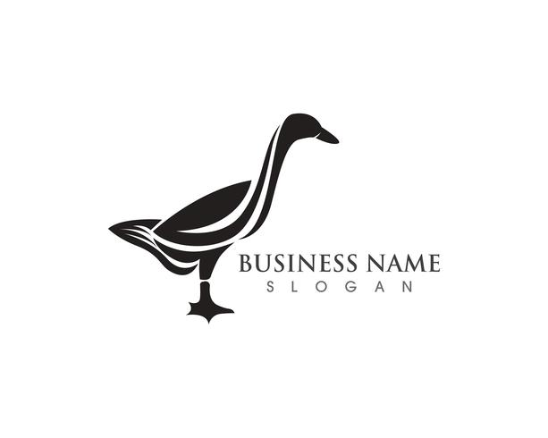 Swan logo Template vettoriale