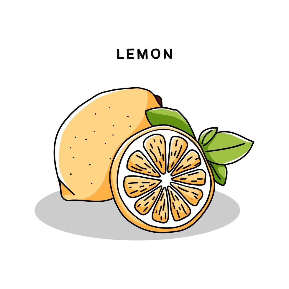 icona di limone disegnata a mano. frutta intera e tagliata. illustrazione vettoriale in stile doodle