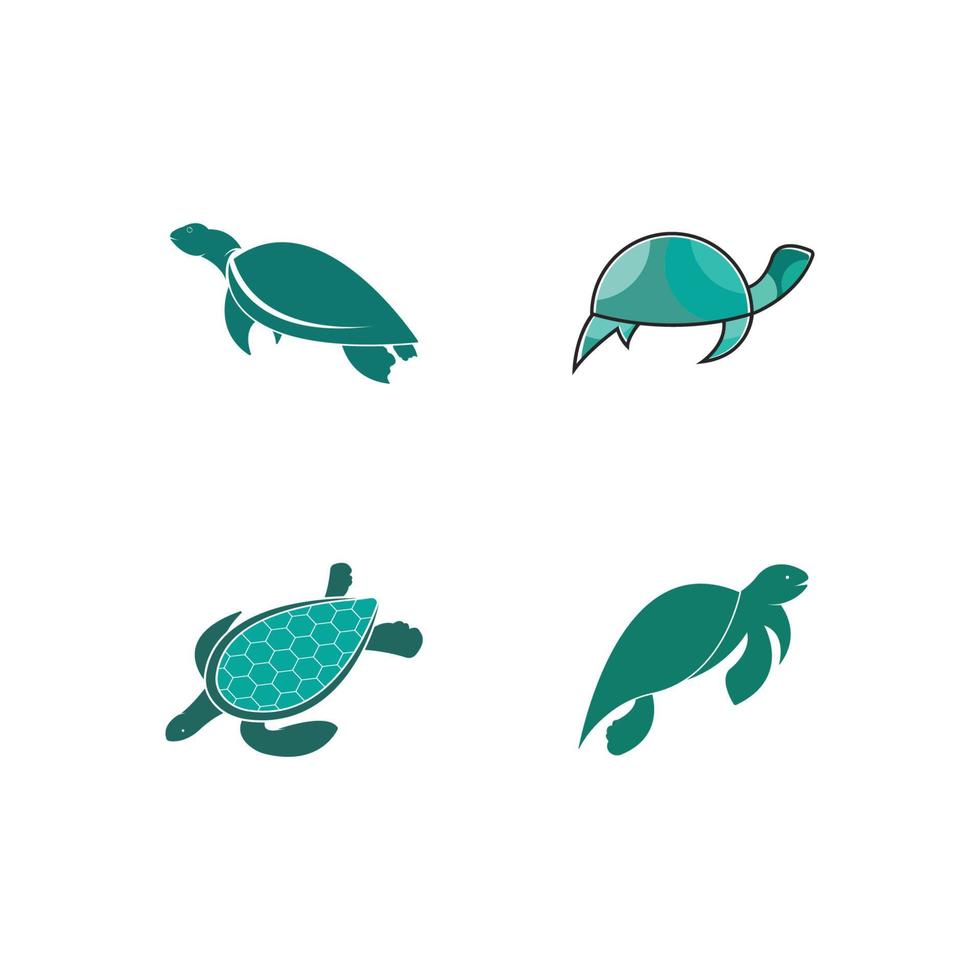 tartaruga animale cartone animato icona immagine vettore
