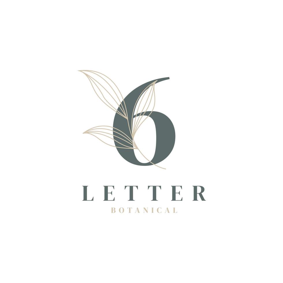 numero 6 logo floreale e botanico. foglia naturale femminile per salone di bellezza, massaggi, cosmetici o simbolo dell'icona spa vettore