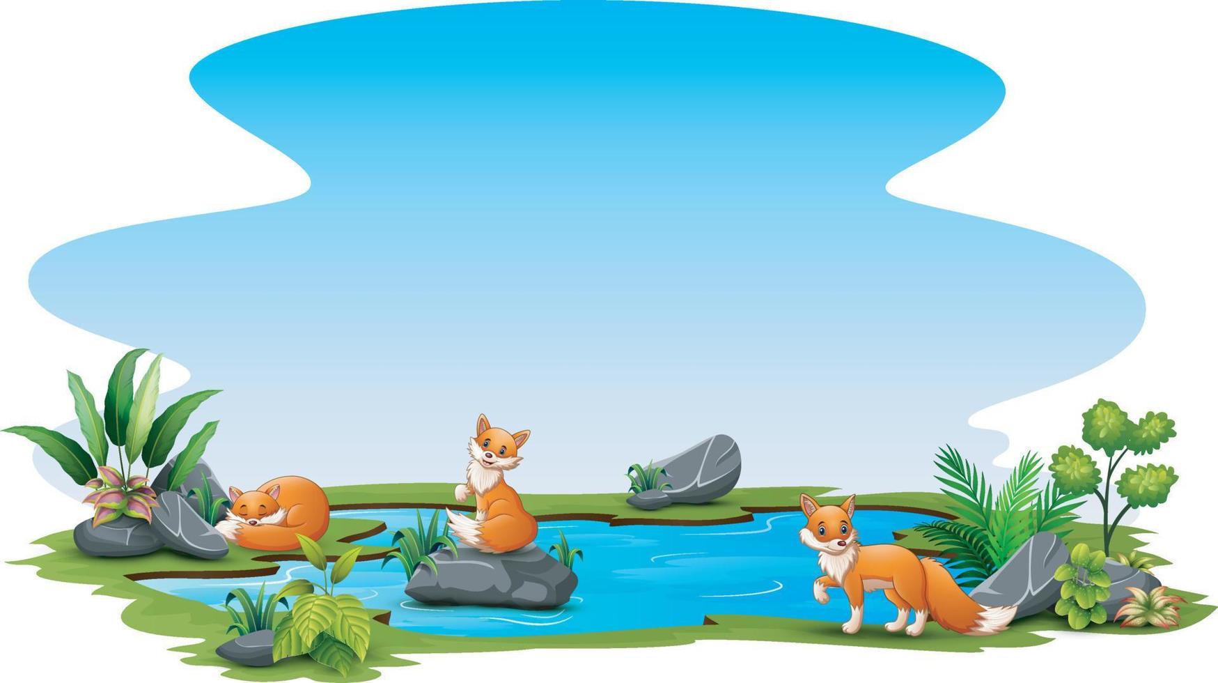 tre volpi che giocano nel laghetto vettore