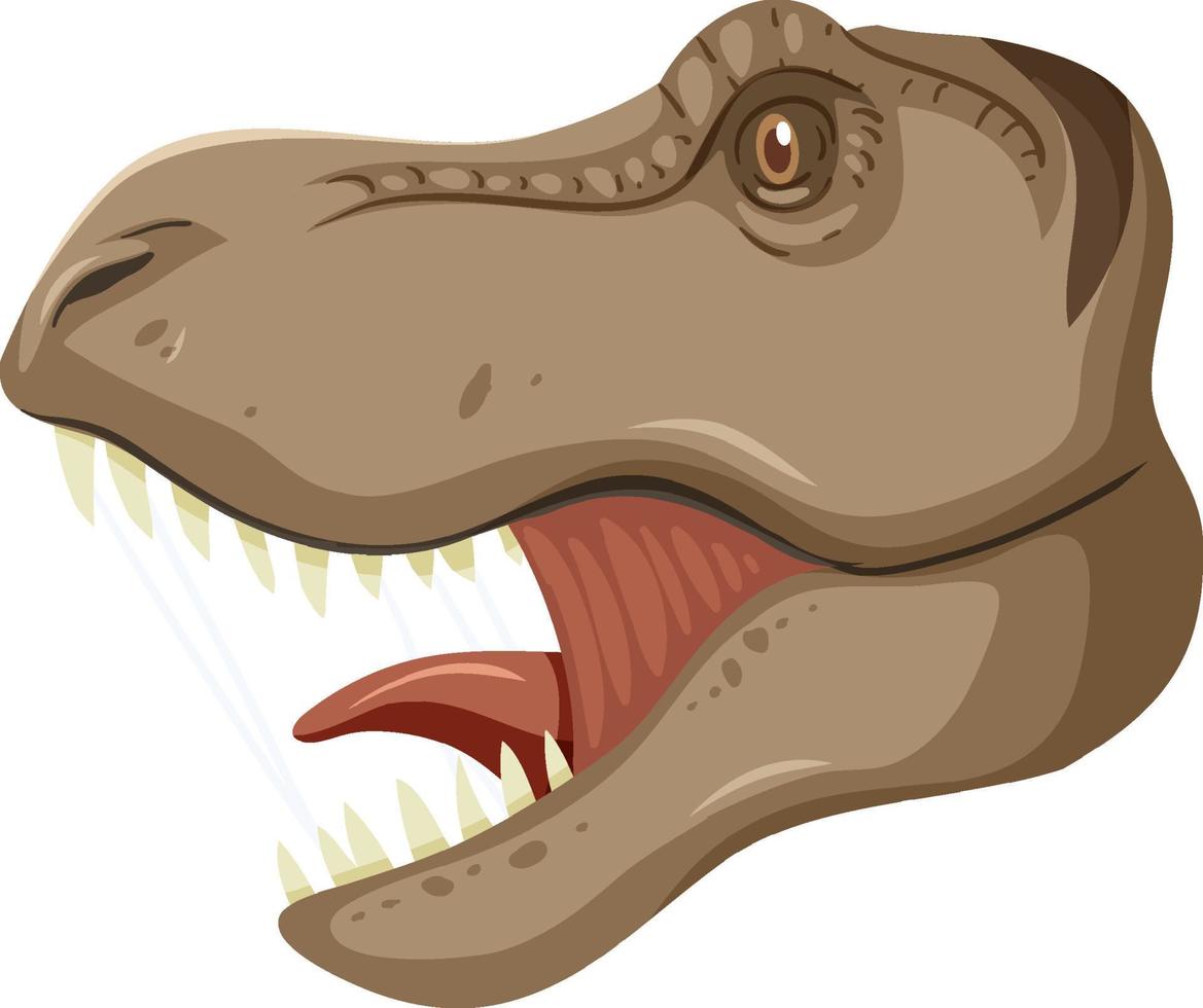 testa di dinosauro tirannosauro rex su sfondo bianco vettore