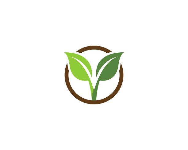 ecologia logo natura elemento vettoriale