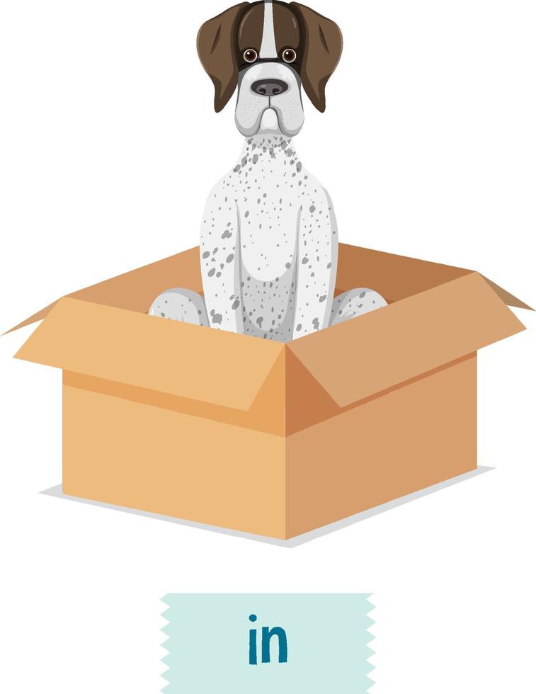 preposizione wordcard design con cane in scatola vettore