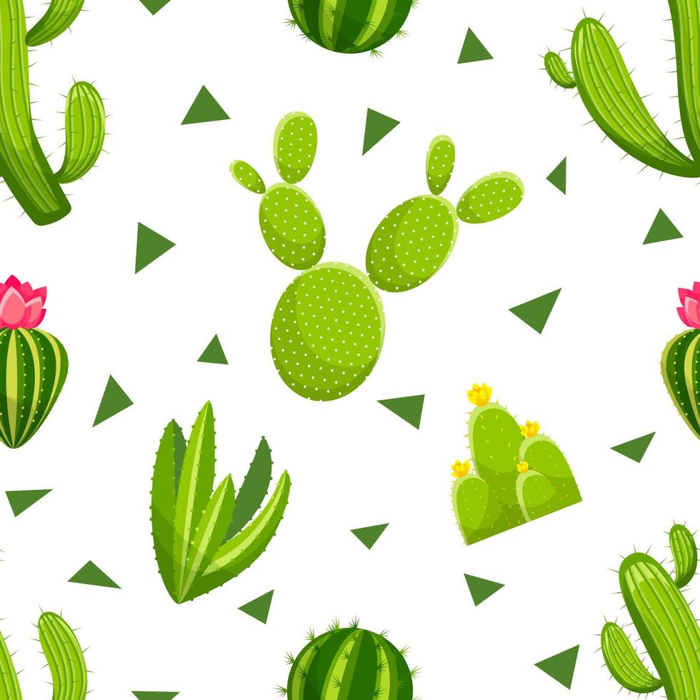 modello di cactus senza soluzione di continuità con cactus verde vettoriale e piante grasse. modello senza cuciture a tema deserto con cactus e fiori. illustrazione vettoriale