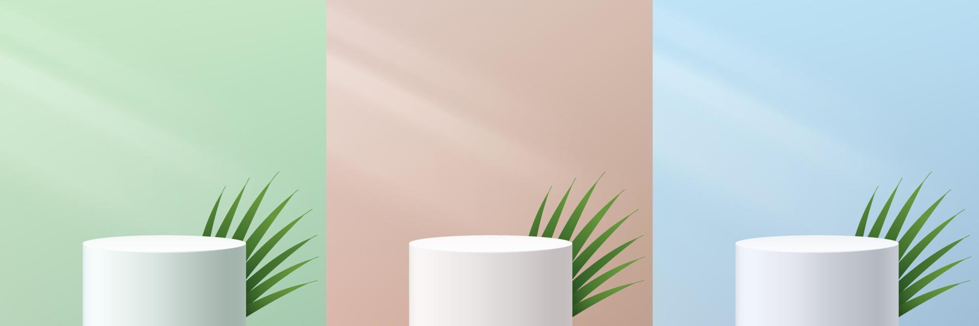 set di podio con piedistallo a cilindro bianco 3d astratto con foglia di cocco e scena a parete verde pastello, beige e blu. moderna piattaforma geometrica di rendering vettoriale per la presentazione di prodotti cosmetici.