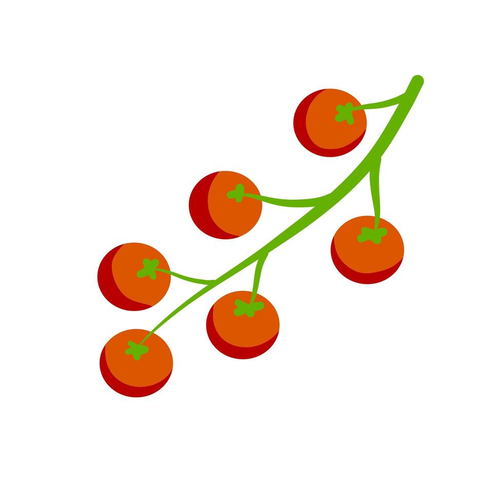 pomodoro ciliegino. verdura rossa sul ramo. raccolta e cibo vegetariano. vettore