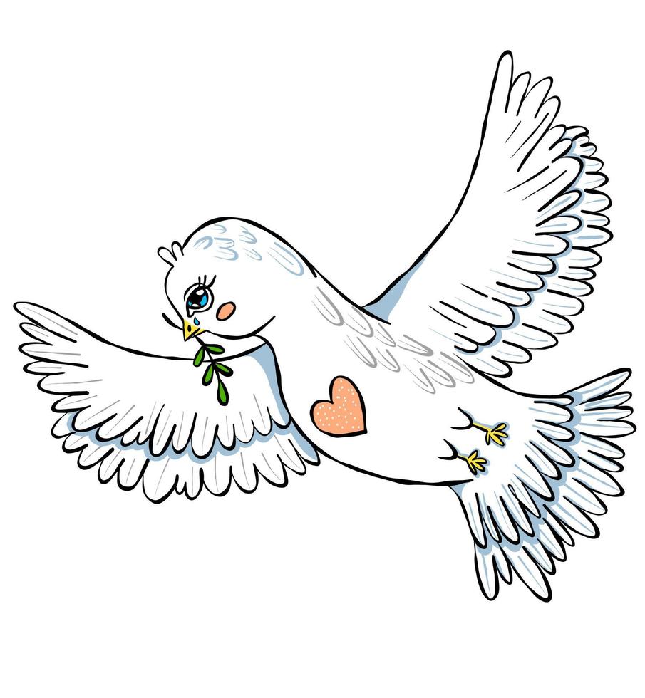 piccione bianco della pace vettore