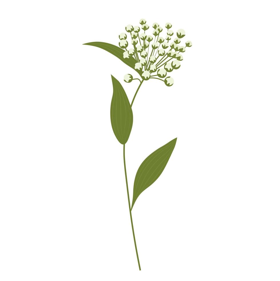 illustrazione di stock di vettore di fiori selvatici. pianta di prato primaverile. stelo verde nel campo. Isolato su uno sfondo bianco.