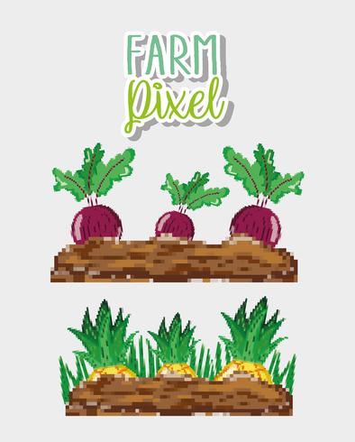 Farm cartoni animati di pixel vettore