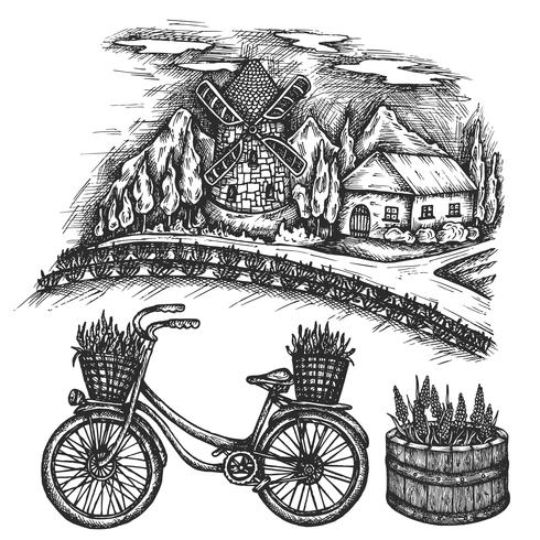Paesaggio estivo di campo di lavanda. La Provenza, Francia schizzo disegnato a mano di vettore della bicicletta, vecchia bici dell&#39;illustrazione dell&#39;inchiostro con il canestro floreale isolato su fondo bianco