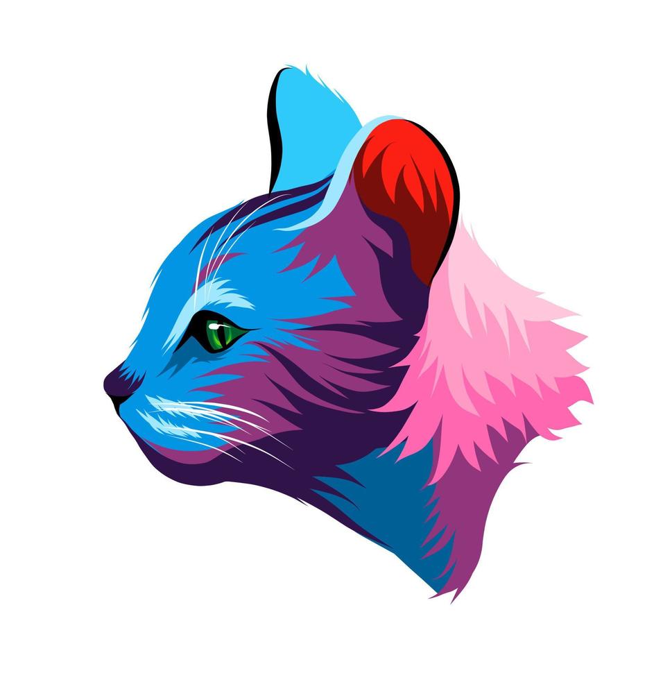 ritratto astratto del viso del gattino, viso del gatto da vernici multicolori. gatto europeo. disegno colorato. ritratto di un muso di gattino, muso di un gatto. illustrazione vettoriale di vernici