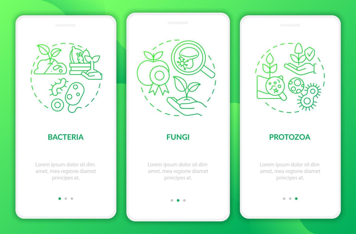 gestione dei microbi del suolo gradiente verde onboarding schermo dell'app mobile. procedura dettagliata 3 passaggi pagine di istruzioni grafiche con concetti lineari. ui, ux, modello gui. sono stati utilizzati una miriade di caratteri normali in grassetto vettore