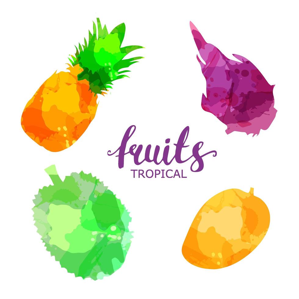 set di frutta disegnate macchie e macchie di acquerello con uno spray ananas, mango, frutta del drago, durian.isolated eco naturale cibo vettore frutti illustrazione su sfondo bianco con scritte