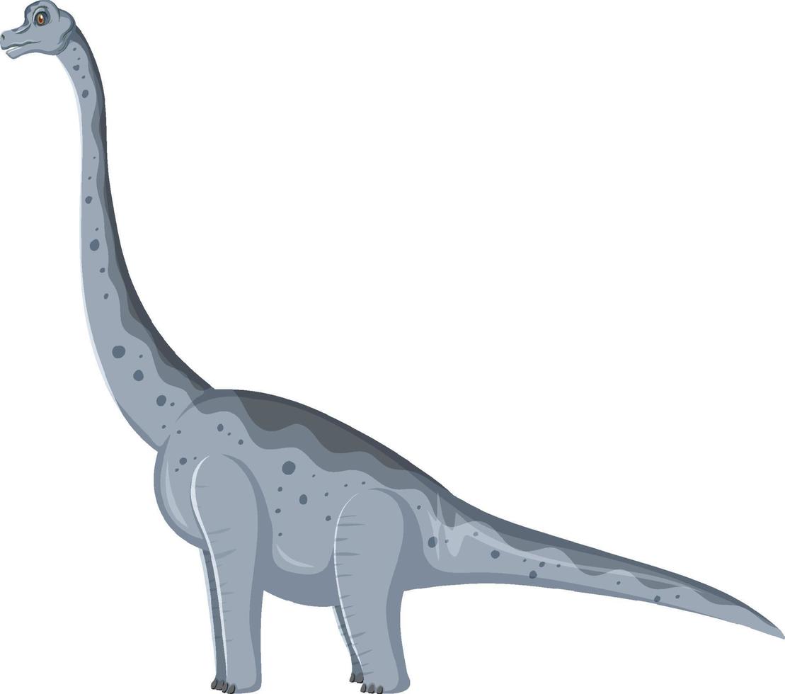 dinosauro brachiosaurus su sfondo bianco vettore