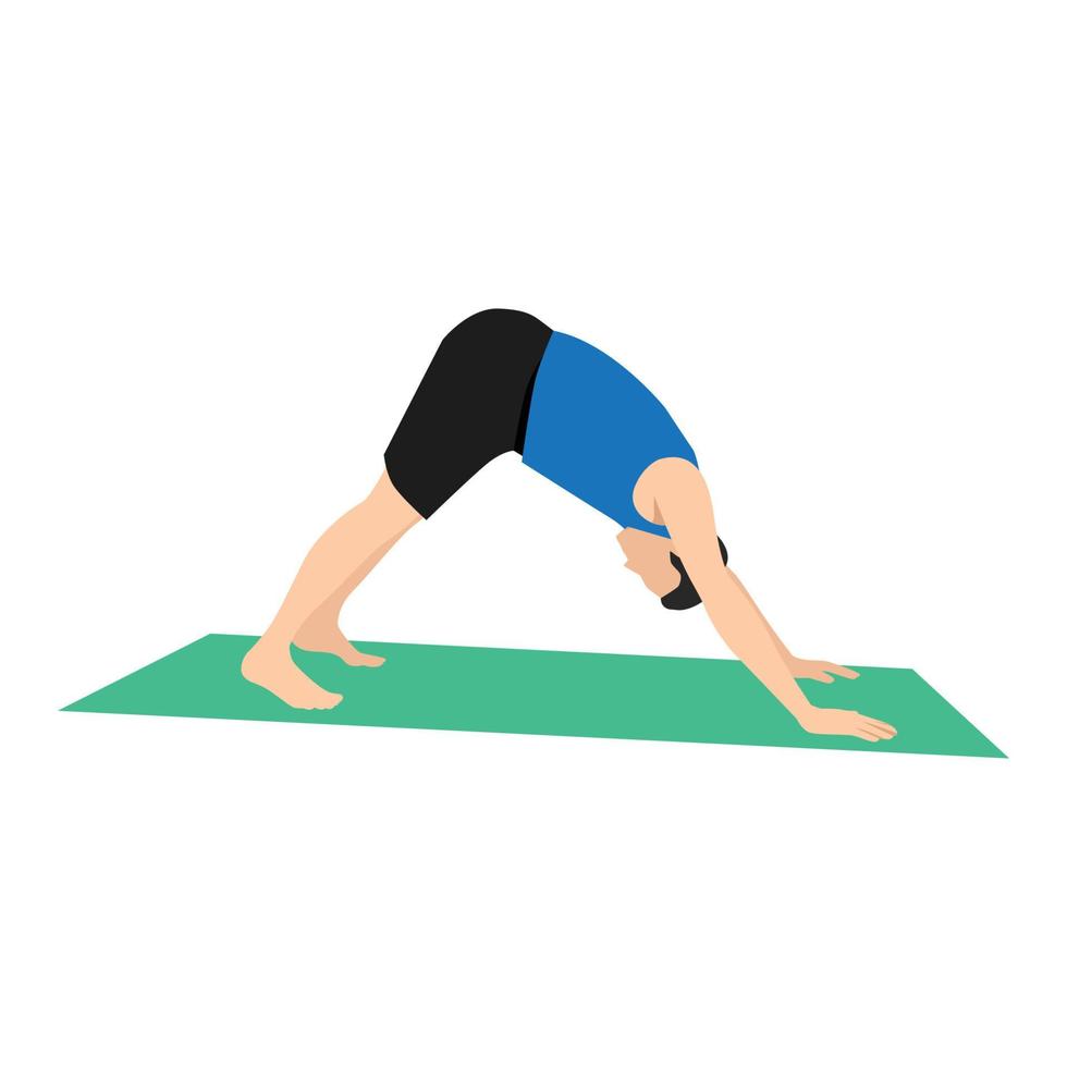 uomo che fa adho mukha svanasana o posa yoga del cane con la testa in giù, illustrazione vettoriale in stile trendy