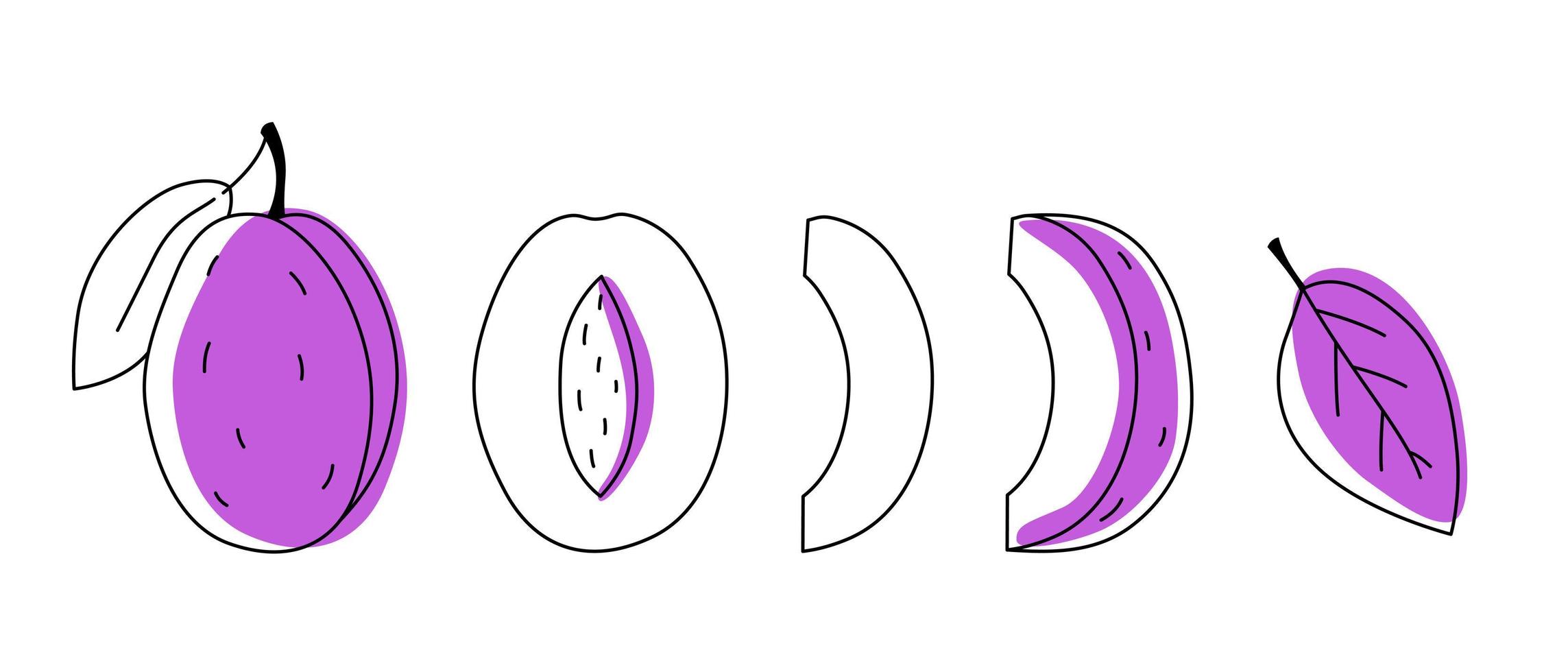 impostare doodle prugne prugna contorno con macchie. intero, pezzi e foglie vettore