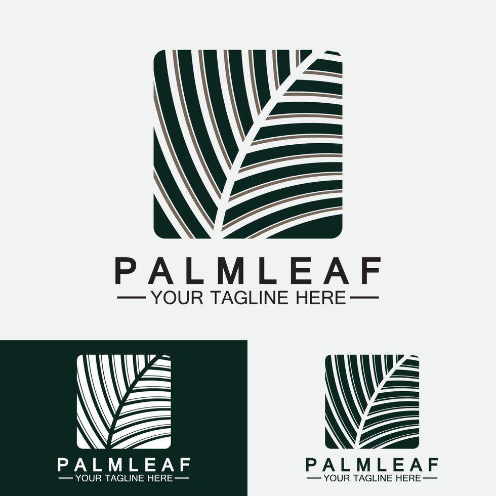 modello di disegno vettoriale logo foglia di palma tropicale