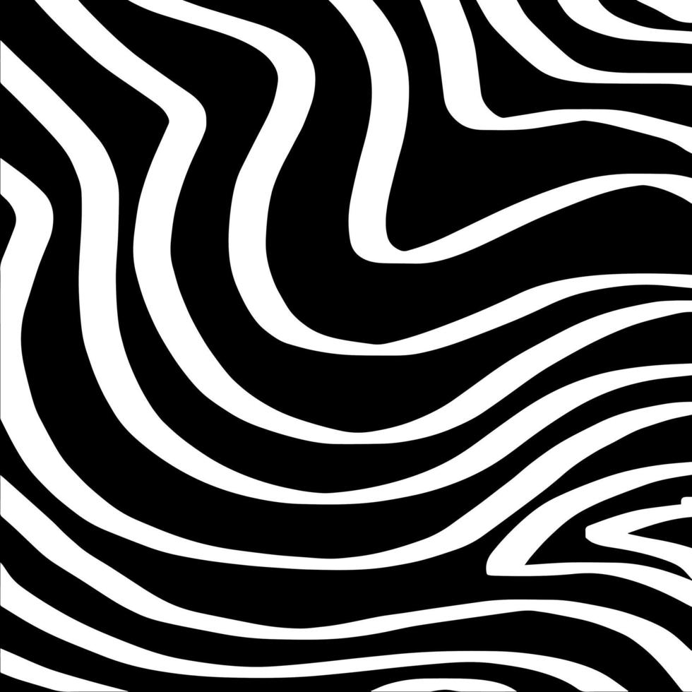 modello vettoriale zebra sfondo bianco e nero