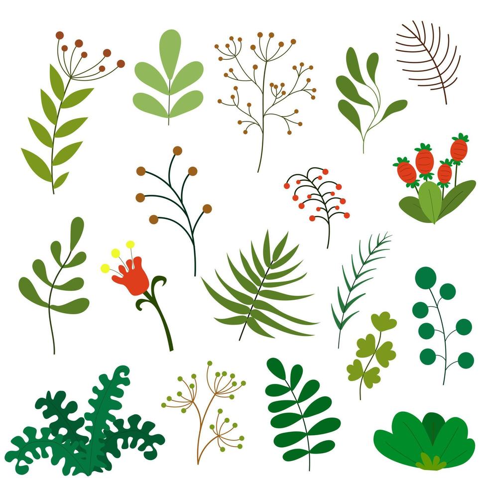 un insieme di foglie, verde, foglie, ramoscello, ramo. collezione con piante per invito. illustrazione decorativa botanica vettoriale isolata su uno sfondo bianco