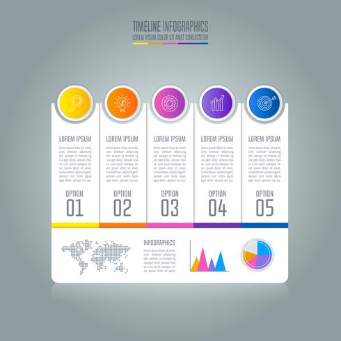 Concetto di business infografica Timeline con 5 opzioni vettore