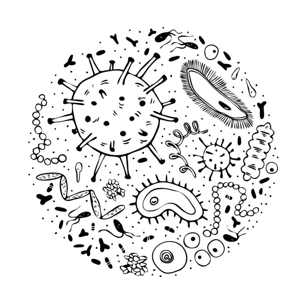 microbi in cerchio. le cellule batteriche doodle sono sferiche e a forma di bastoncino. una vasta collezione di specie batteriche. illustrazione stock vettoriale isolato su sfondo bianco.