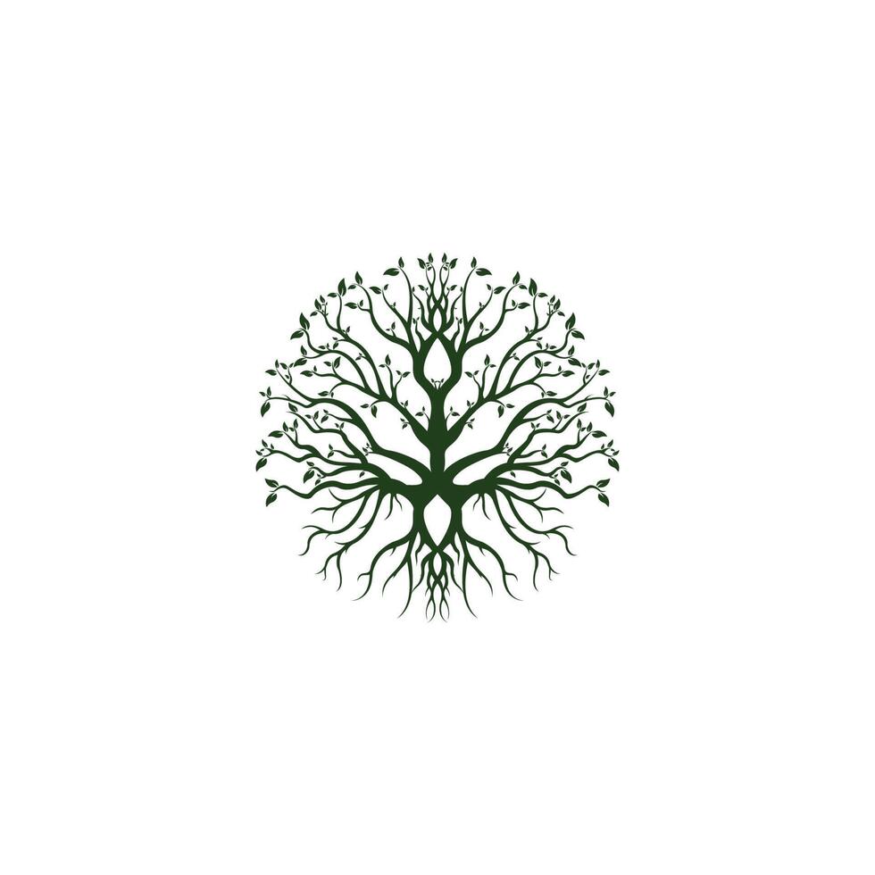 disegno del logo dell'albero vettore