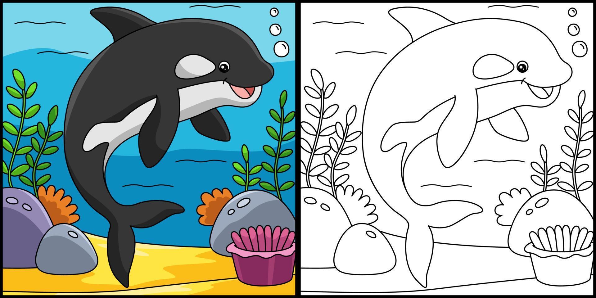 illustrazione colorata della pagina di colorazione della balena assassina vettore
